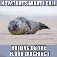 Rolling On The Floor With Laughter Meme