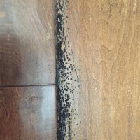 Tiny Black Spots On Hardwood Floors